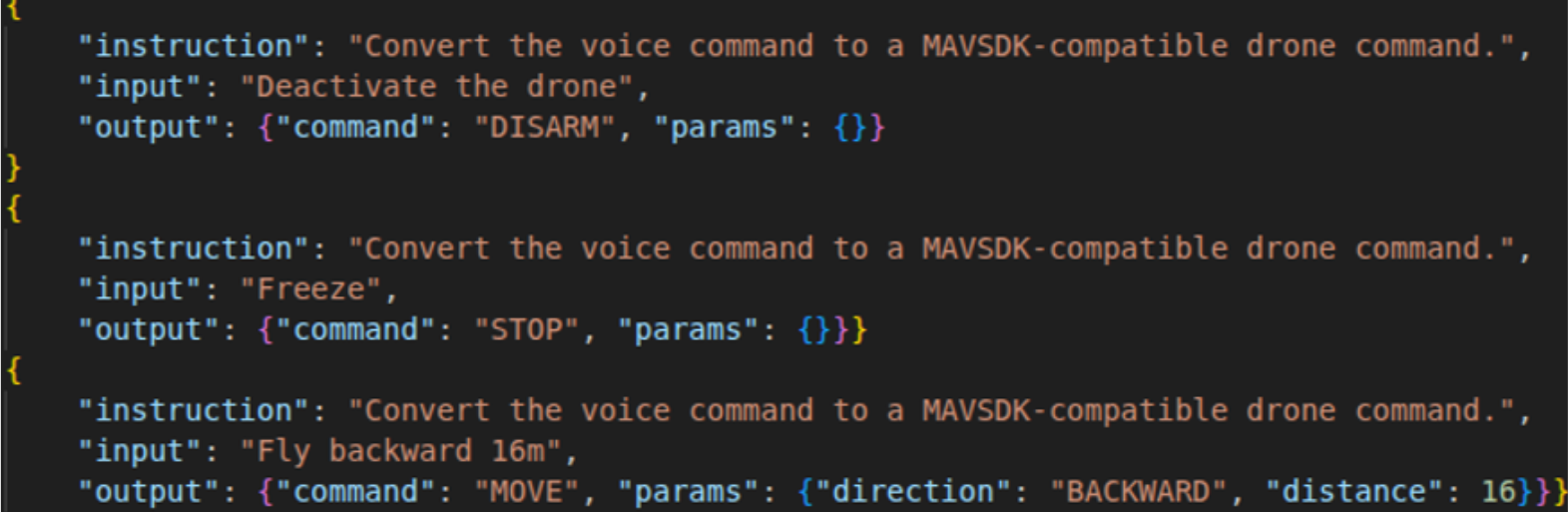 Dataset Format Screenshot